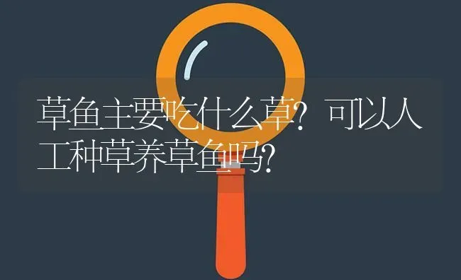 草鱼主要吃什么草?可以人工种草养草鱼吗? | 养殖问题解答