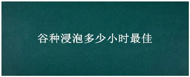 谷种浸泡多少小时最佳 | 生活常识