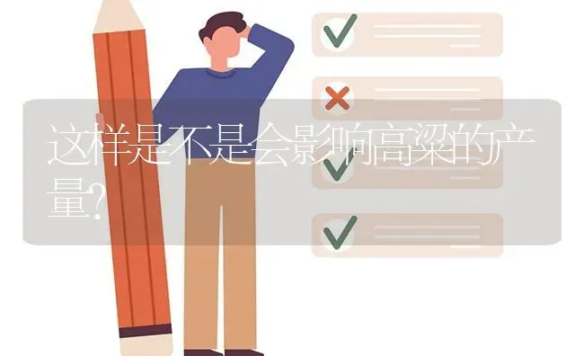 这样是不是会影响高粱的产量? | 养殖问题解答