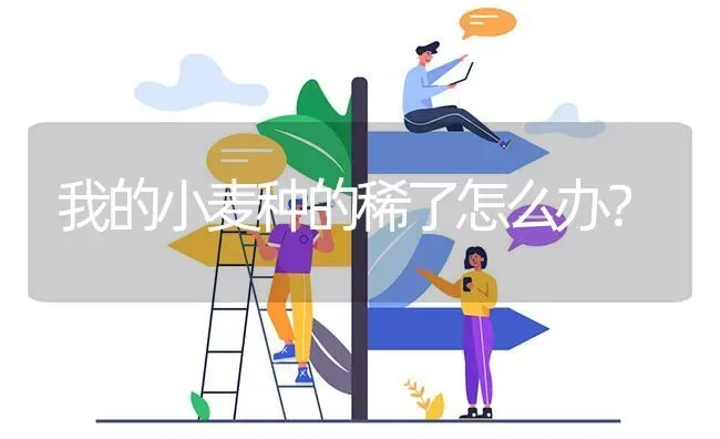 我的小麦种的稀了怎么办? | 养殖问题解答