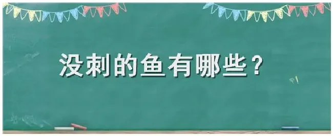 没刺的鱼有哪些 | 生活常识