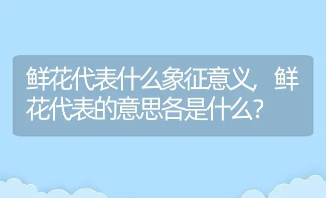 鲜花代表什么象征意义,鲜花代表的意思各是什么？ | 养殖常见问题