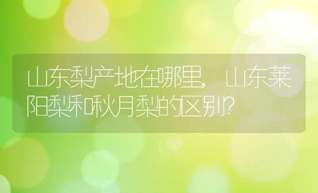 山东梨产地在哪里,山东莱阳梨和秋月梨的区别？ | 养殖常见问题