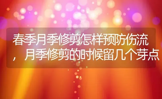 春季月季修剪怎样预防伤流,月季修剪的时候留几个芽点 | 养殖常见问题