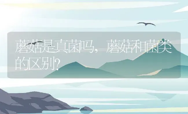 蘑菇是真菌吗,蘑菇和菌类的区别？ | 养殖常见问题
