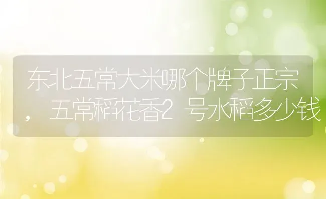 东北五常大米哪个牌子正宗,五常稻花香2号水稻多少钱 | 养殖常见问题