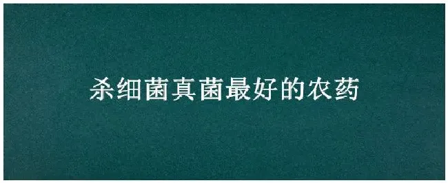 杀细菌真菌最好的农药 | 三农问答