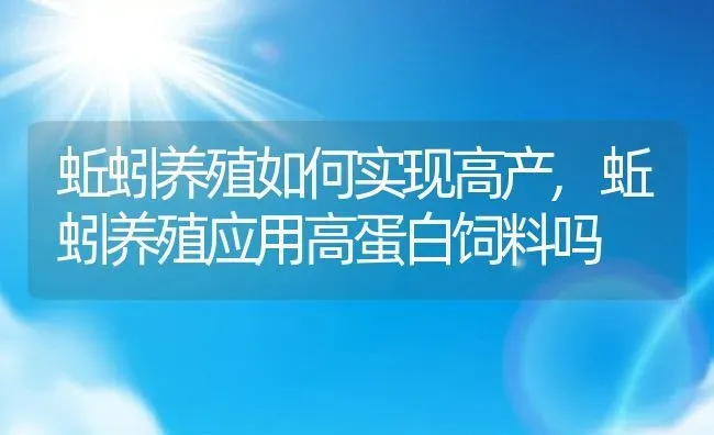 蚯蚓养殖如何实现高产,蚯蚓养殖应用高蛋白饲料吗 | 养殖常见问题