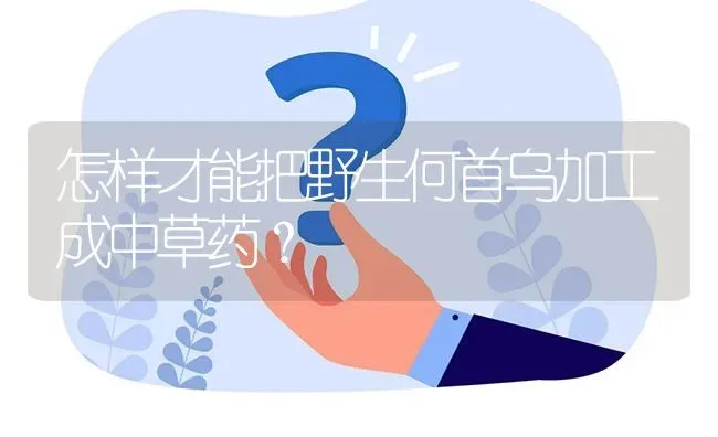 怎样才能把野生何首乌加工成中草药? | 养殖问题解答