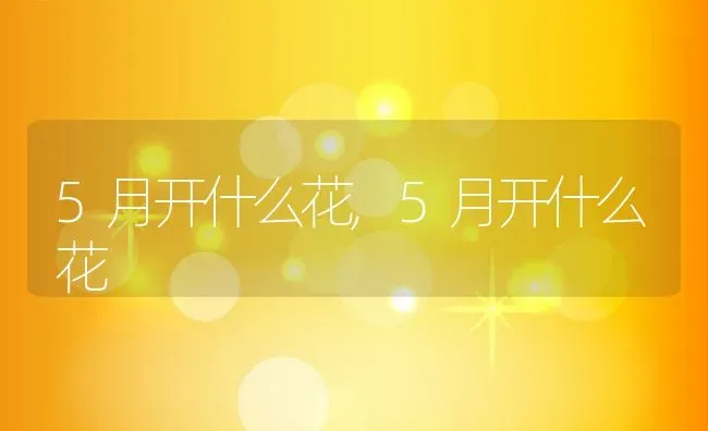 5月开什么花,5月开什么花 | 养殖常见问题
