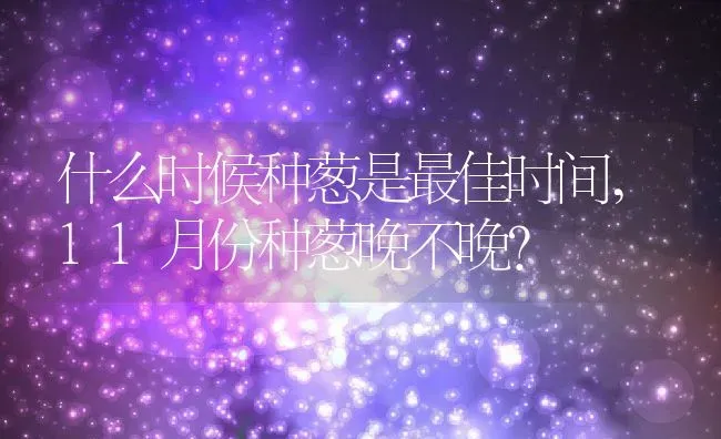 什么时候种葱是最佳时间,11月份种葱晚不晚？ | 养殖常见问题