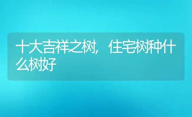 十大吉祥之树,住宅树种什么树好 | 养殖常见问题