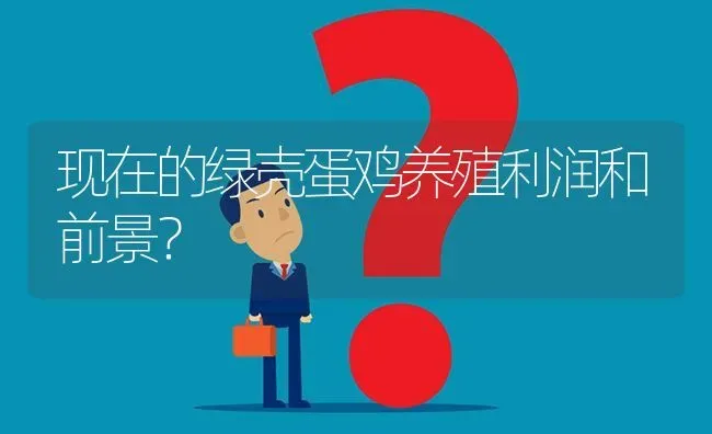 现在的绿壳蛋鸡养殖利润和前景? | 养殖问题解答