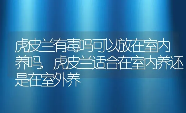 虎皮兰有毒吗可以放在室内养吗,虎皮兰适合在室内养还是在室外养 | 养殖常见问题