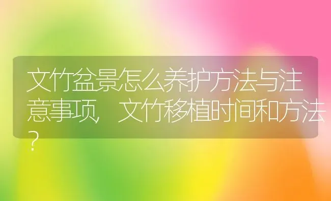 文竹盆景怎么养护方法与注意事项,文竹移植时间和方法？ | 养殖常见问题