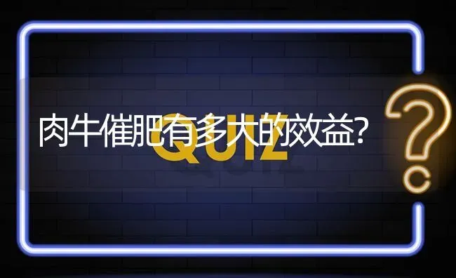 肉牛催肥有多大的效益? | 养殖问题解答