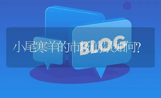 小尾寒羊的市场前景如何? | 养殖问题解答