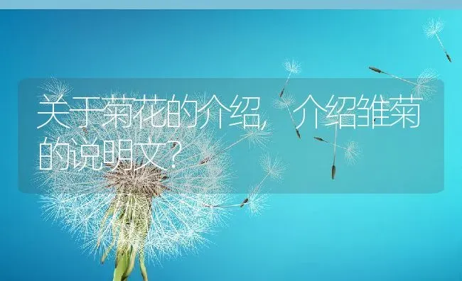 关于菊花的介绍,介绍雏菊的说明文？ | 养殖常见问题
