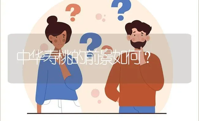 中华寿桃的前景如何? | 养殖问题解答