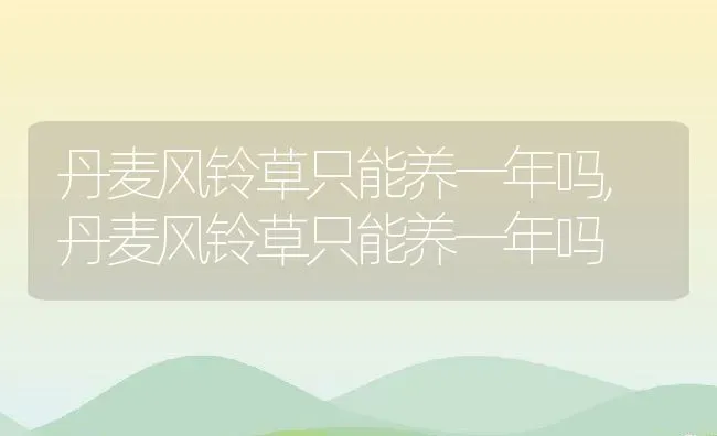 丹麦风铃草只能养一年吗,丹麦风铃草只能养一年吗 | 养殖常见问题