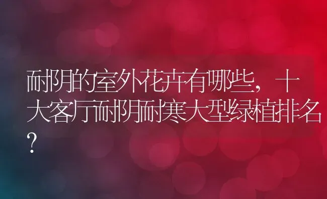 耐阴的室外花卉有哪些,十大客厅耐阴耐寒大型绿植排名？ | 养殖常见问题