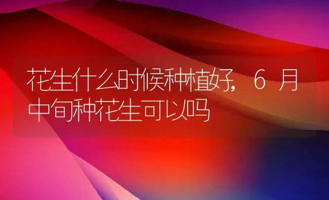 花生什么时候种植好,6月中旬种花生可以吗 | 养殖常见问题