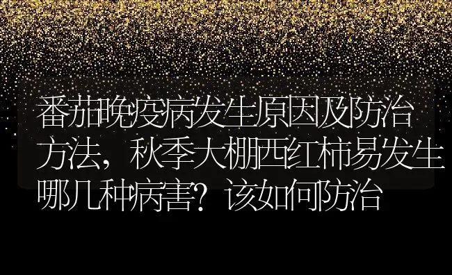 番茄晚疫病发生原因及防治方法,秋季大棚西红柿易发生哪几种病害？该如何防治 | 养殖常见问题