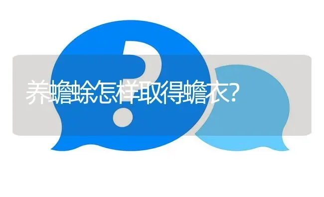 养蟾蜍怎样取得蟾衣? | 养殖问题解答