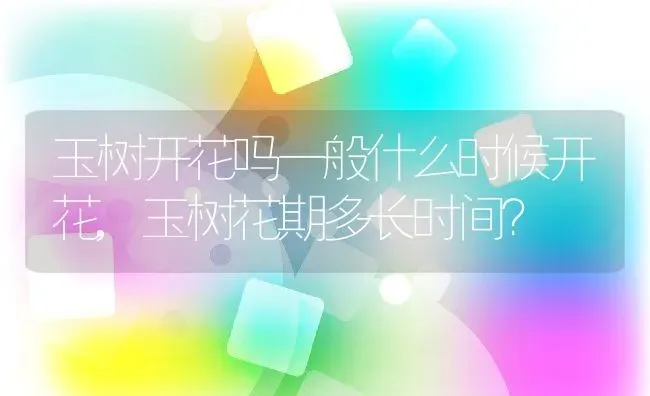 玉树开花吗一般什么时候开花,玉树花期多长时间？ | 养殖常见问题