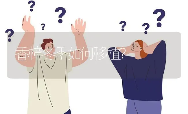 香樟冬季如何移植? | 养殖问题解答