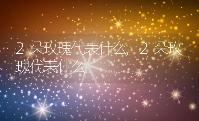 2朵玫瑰代表什么,2朵玫瑰代表什么 | 养殖常见问题