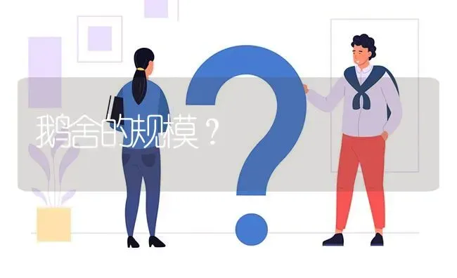 鹅舍的规模? | 养殖问题解答