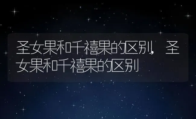 圣女果和千禧果的区别,圣女果和千禧果的区别 | 养殖常见问题