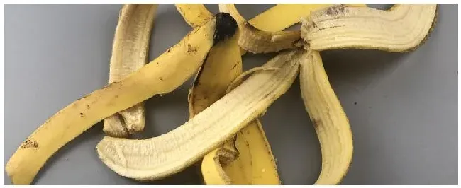 烂菜烂水果制作有机肥的方法 | 三农答疑