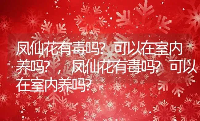 凤仙花有毒吗?可以在室内养吗?,凤仙花有毒吗?可以在室内养吗? | 养殖常见问题