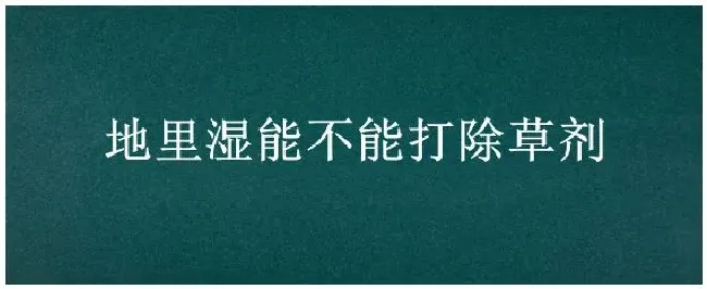 地里湿能不能打除草剂 | 农业答疑