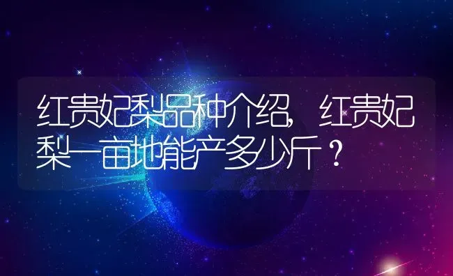 红贵妃梨品种介绍,红贵妃梨一亩地能产多少斤？ | 养殖常见问题