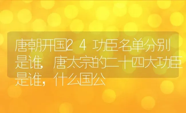 唐朝开国24功臣名单分别是谁,唐太宗的二十四大功臣是谁，什么国公 | 养殖常见问题