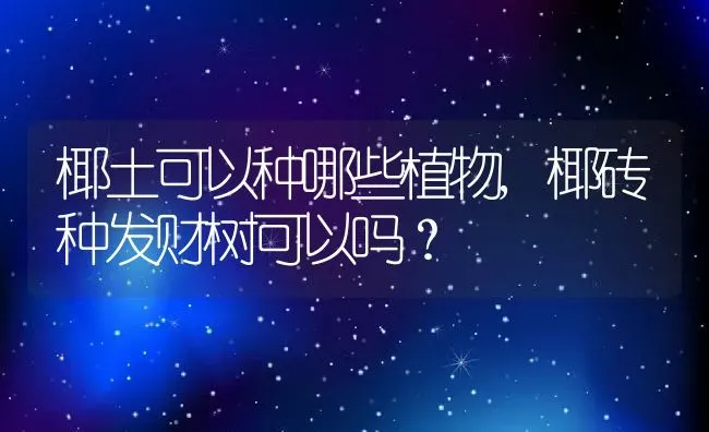 椰土可以种哪些植物,椰砖种发财树可以吗？ | 养殖常见问题