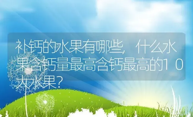 补钙的水果有哪些,什么水果含钙量最高含钙最高的10大水果？ | 养殖常见问题