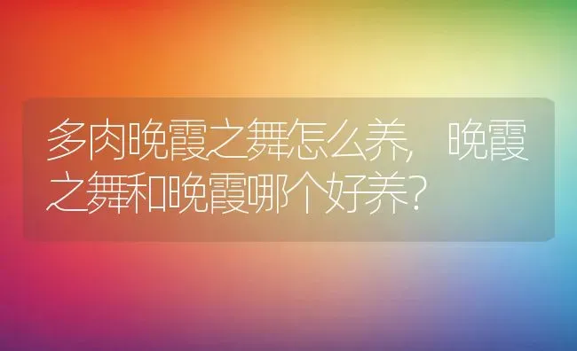 多肉晚霞之舞怎么养,晚霞之舞和晚霞哪个好养？ | 养殖常见问题