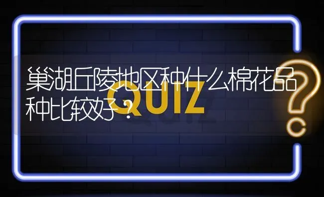 巢湖丘陵地区种什么棉花品种比较好? | 养殖问题解答