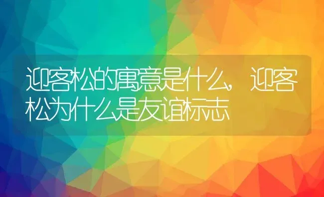 迎客松的寓意是什么,迎客松为什么是友谊标志 | 养殖常见问题