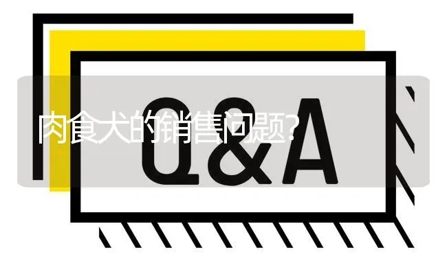 肉食犬的销售问题? | 养殖问题解答