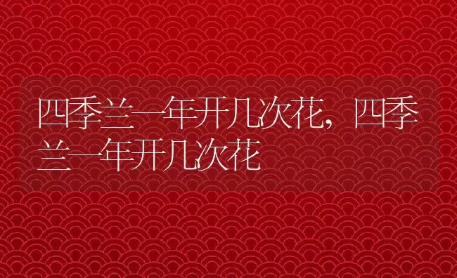 四季兰一年开几次花,四季兰一年开几次花 | 养殖常见问题