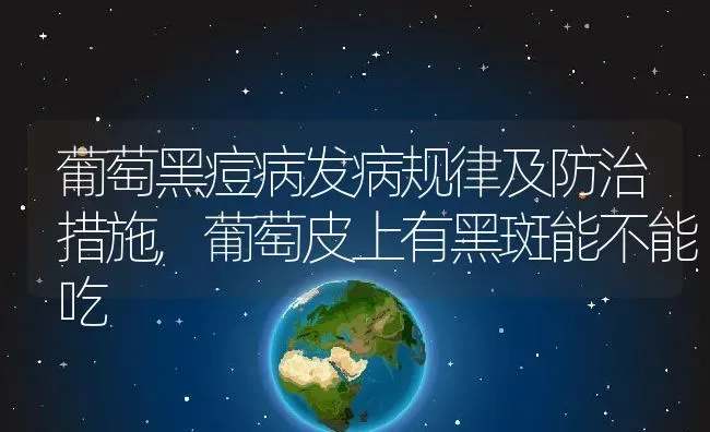 葡萄黑痘病发病规律及防治措施,葡萄皮上有黑斑能不能吃 | 养殖常见问题