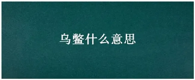 乌鳖什么意思 | 三农答疑
