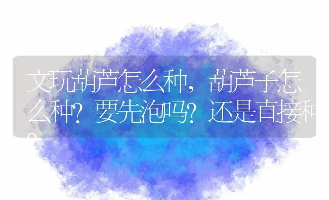 文玩葫芦怎么种,葫芦子怎么种？要先泡吗？还是直接种？ | 养殖常见问题