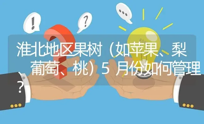 淮北地区果树(如苹果、梨、葡萄、桃)5月份如何管理? | 养殖问题解答