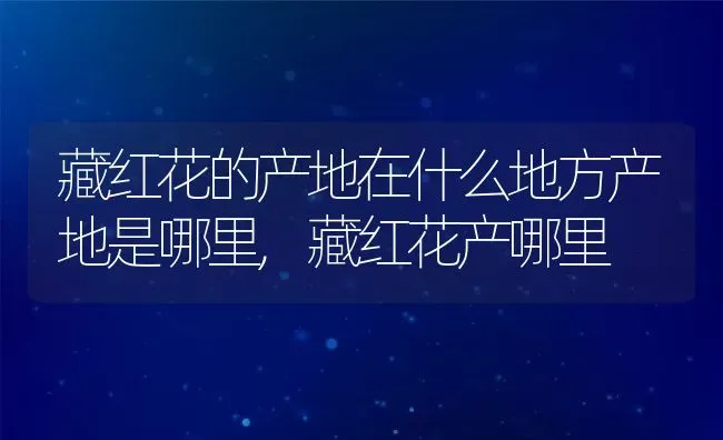 藏红花的产地在什么地方产地是哪里,藏红花产哪里 | 养殖常见问题